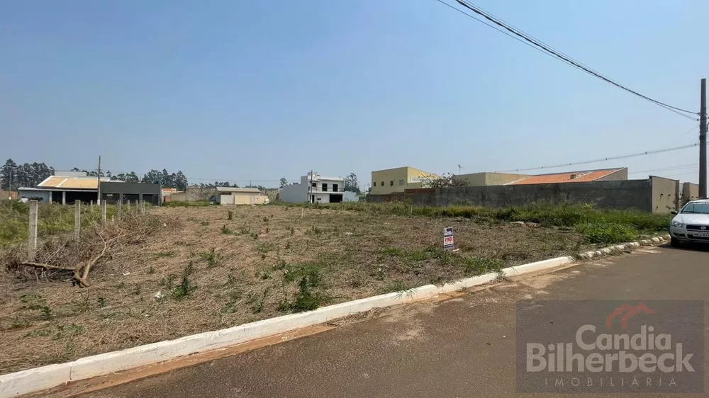 Terreno à venda, 250m² - Foto 1