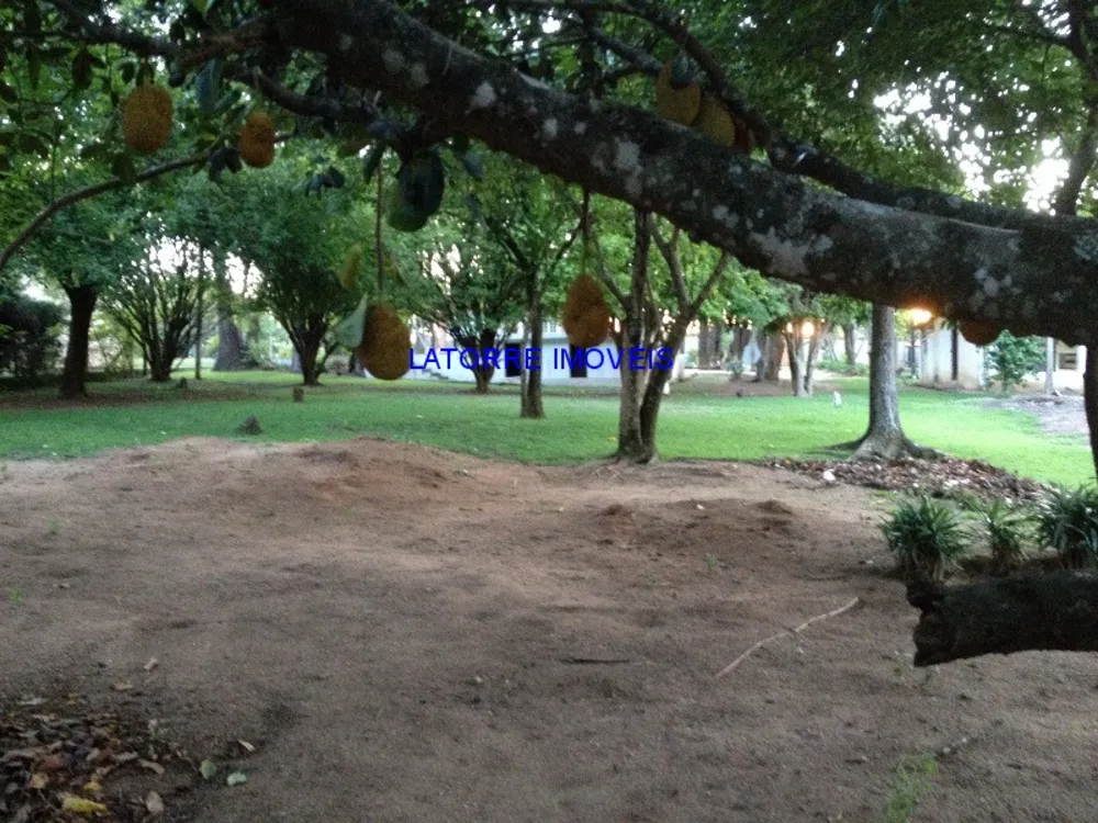 Sítio, 2 quartos, 6000 m² - Foto 14
