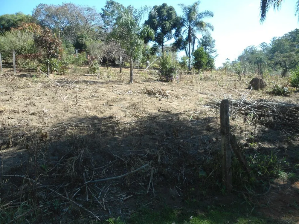 Fazenda à venda, 3000m² - Foto 3