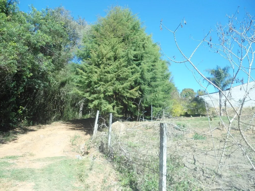 Fazenda à venda, 3000m² - Foto 4