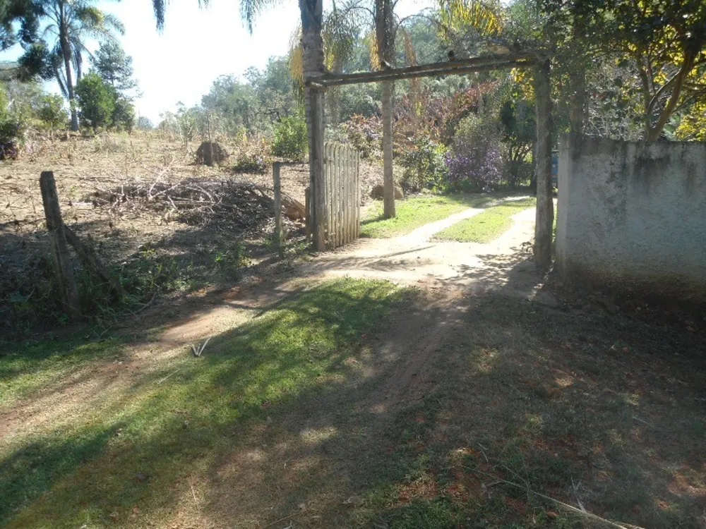 Terreno, 3000 m² - Foto 5
