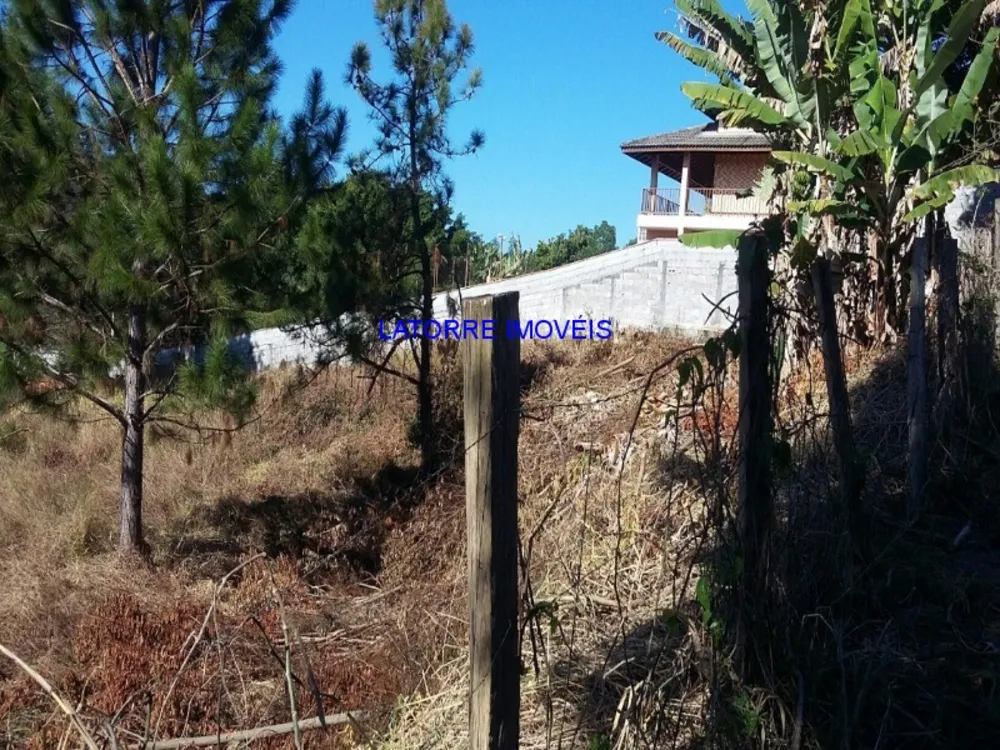 Terreno, 1544 m² - Foto 3