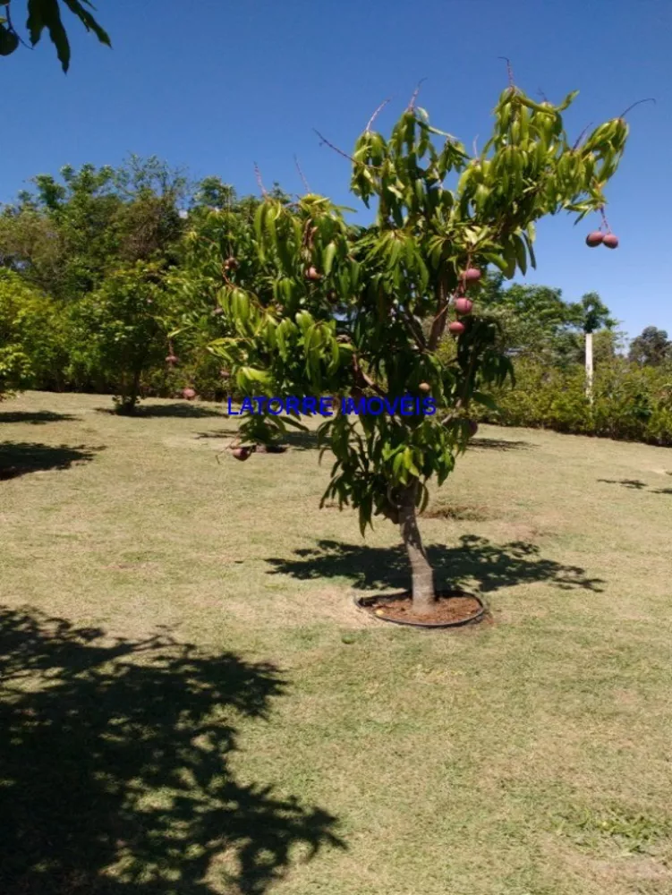 Chácara, 3 quartos - Foto 22
