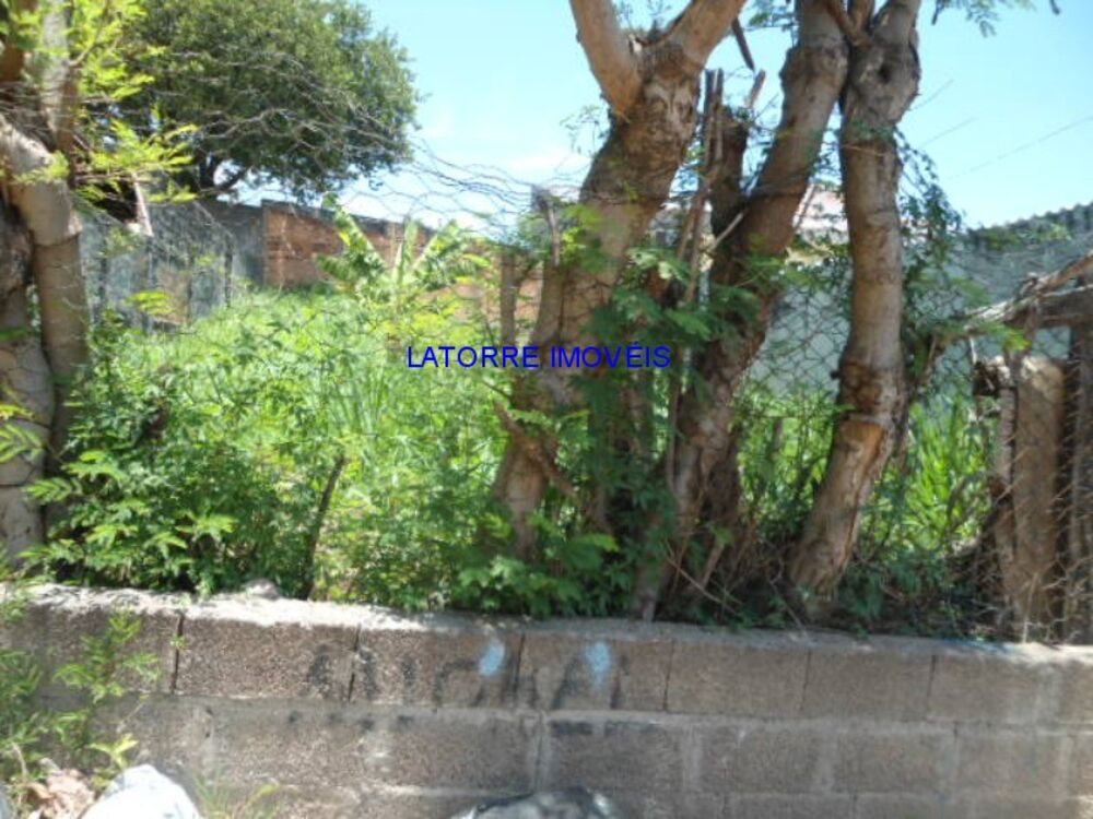 Terreno, 250 m² - Foto 4