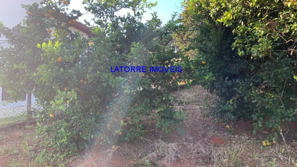 Chácara, 2 quartos, 1000 m² - Foto 13