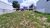 Terreno, 300 m² - Foto 2