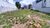 Terreno, 300 m² - Foto 4
