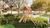 Terreno, 160 m² - Foto 4