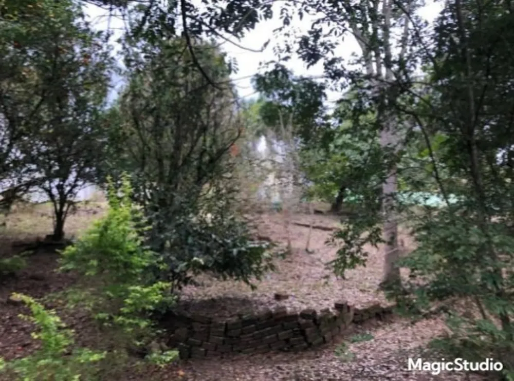 Terreno, 1340 m² - Foto 2