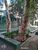 Apartamento, 2 quartos, 64 m² - Foto 3