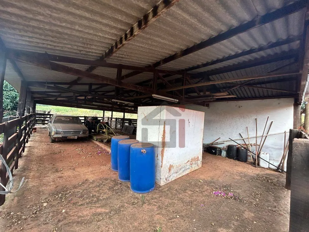 Chácara, 3 quartos, 6 hectares - Foto 10