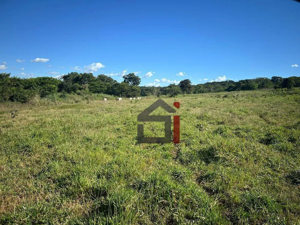 Sítio, 27 hectares - Foto 3
