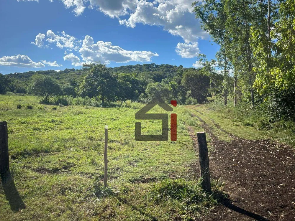 Sítio, 27 hectares - Foto 10
