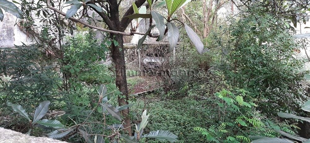 Terreno, 303 m² - Foto 1