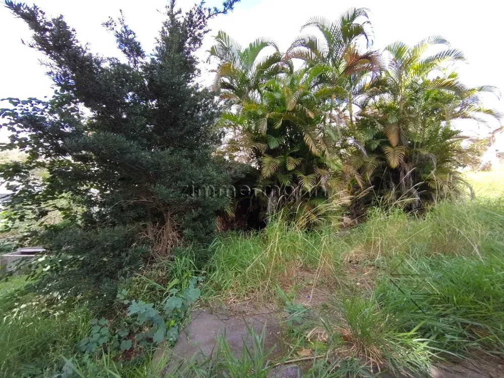 Terreno, 1000 m² - Foto 3