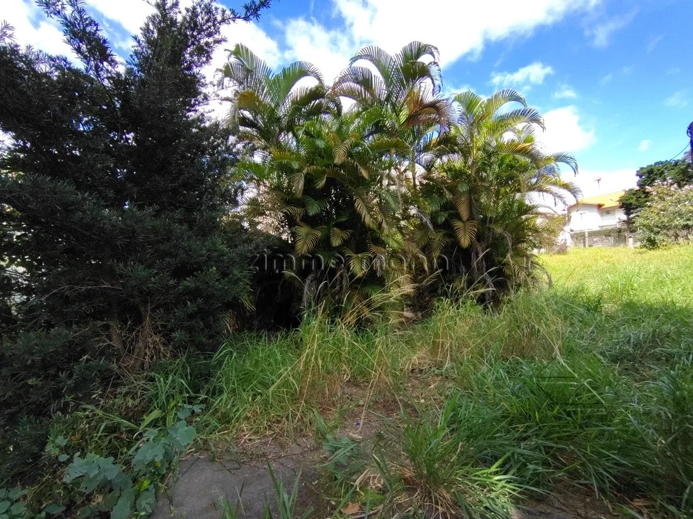 Terreno, 1000 m² - Foto 4