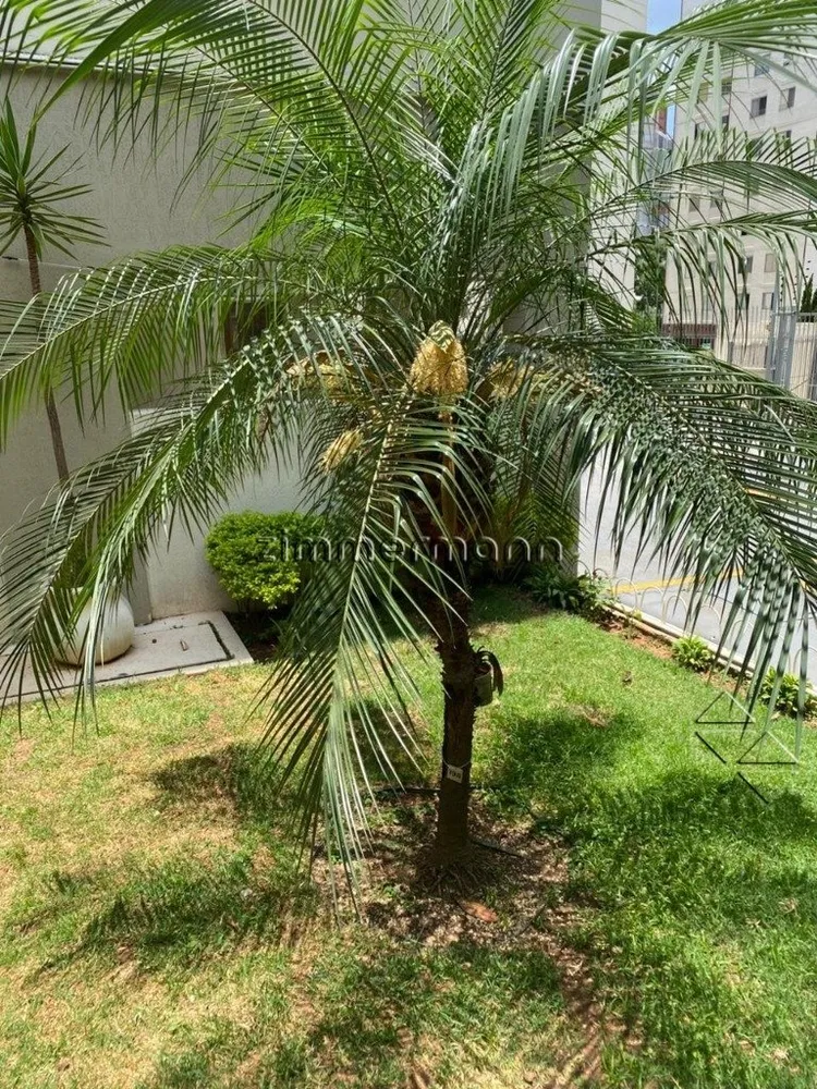 Apartamento, 3 quartos, 83 m² - Foto 5