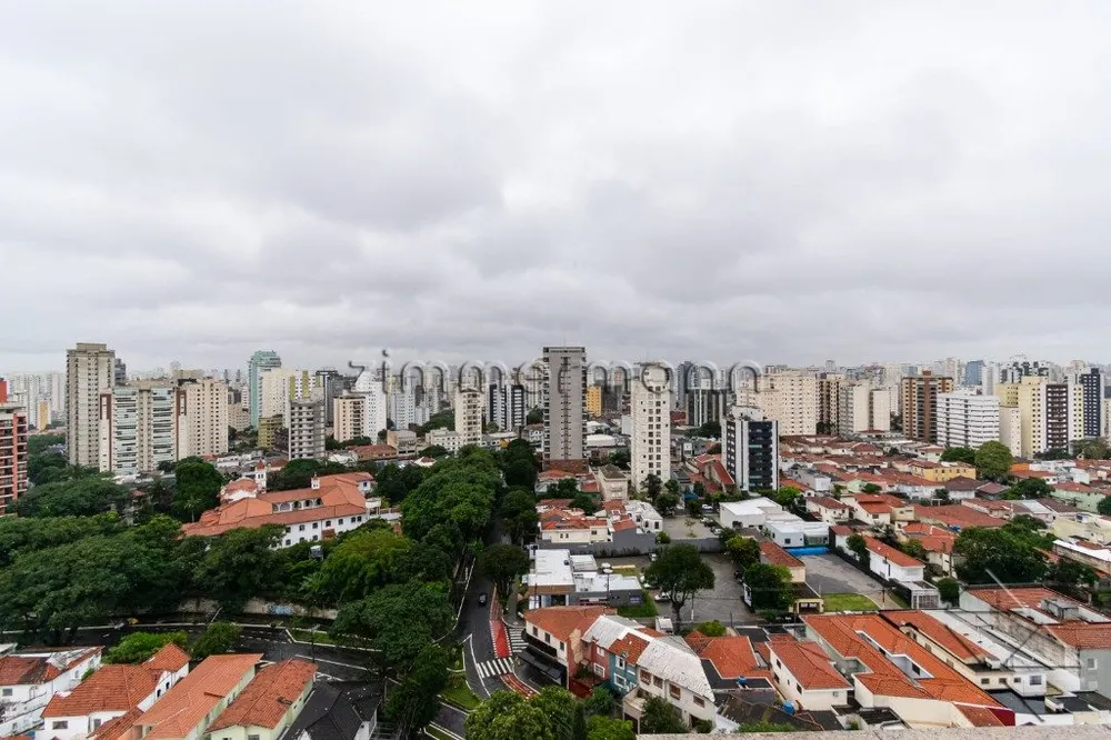 Cobertura, 3 quartos, 277 m² - Foto 4