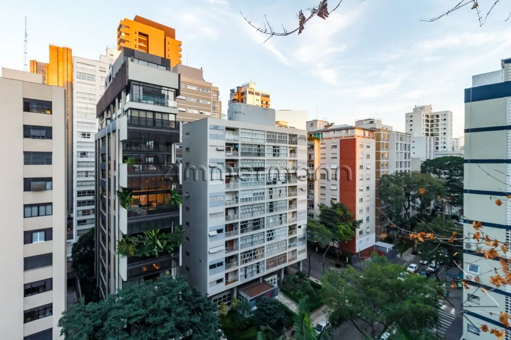 Apartamento, 3 quartos, 275 m² - Foto 4