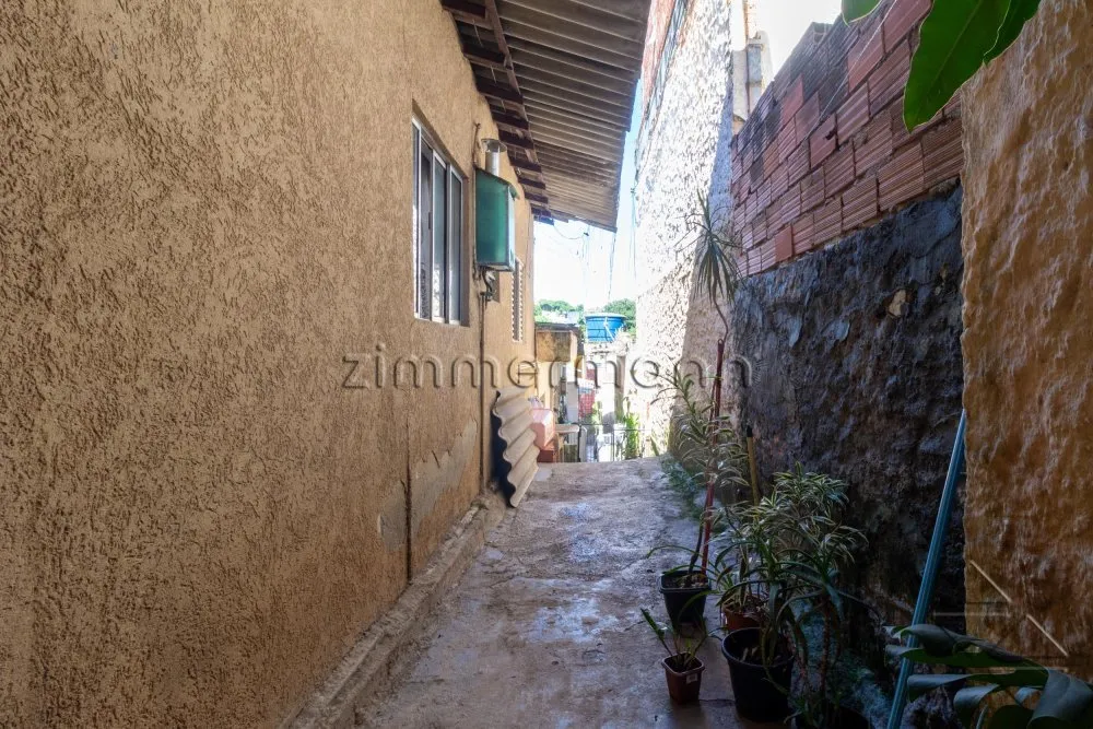 Casa, 3 quartos, 250 m² - Foto 1