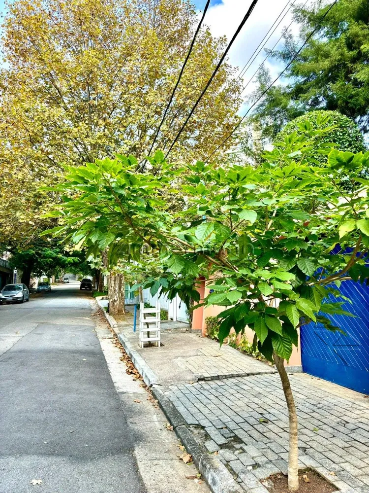 Casa, 4 quartos, 280 m² - Foto 12