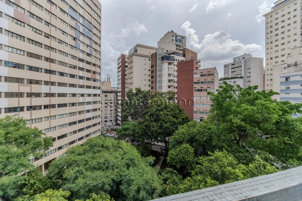 Apartamento, 4 quartos, 238 m² - Foto 10