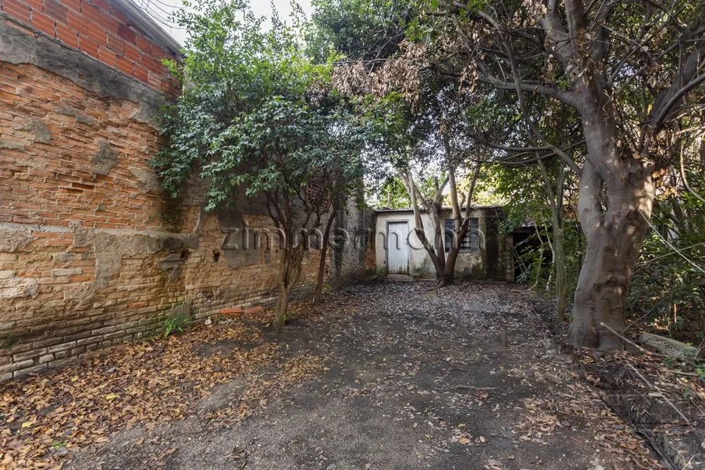Terreno, 250 m² - Foto 2