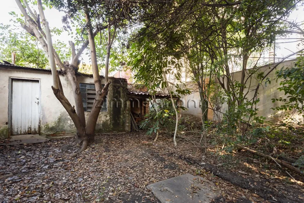 Terreno, 250 m² - Foto 3