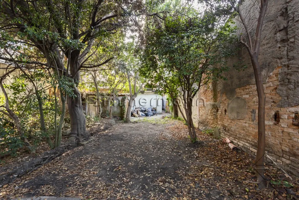 Terreno, 250 m² - Foto 1