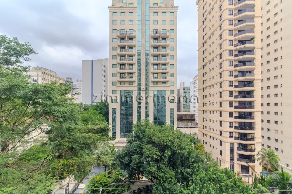 Apartamento, 3 quartos, 267 m² - Foto 2