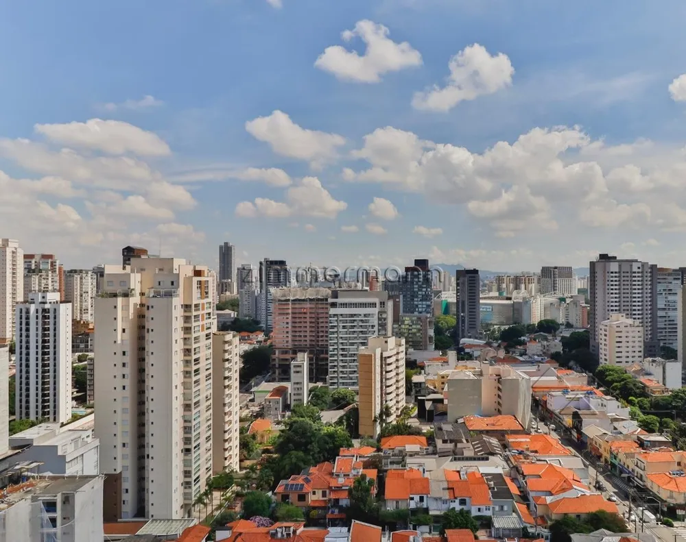 Cobertura, 4 quartos, 216 m² - Foto 4