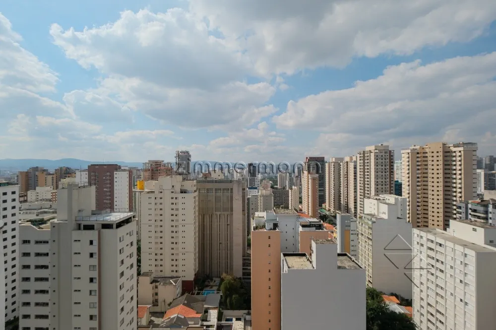 Cobertura, 4 quartos, 335 m² - Foto 3
