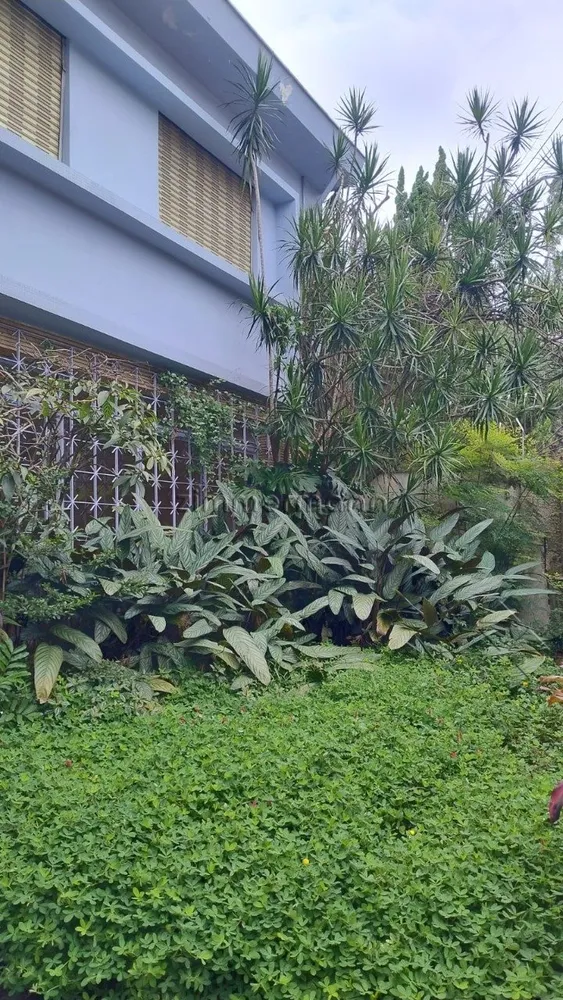 Casa, 4 quartos, 350 m² - Foto 3