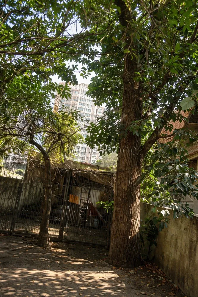 Casa, 4 quartos, 300 m² - Foto 3