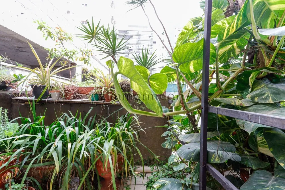 Casa, 4 quartos, 150 m² - Foto 11