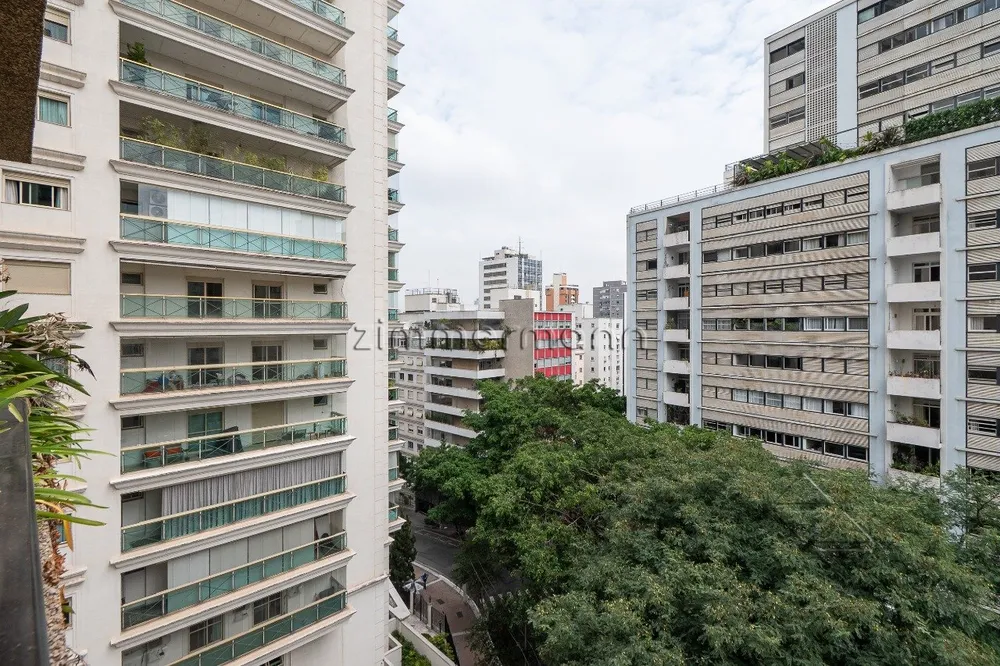 Apartamento, 3 quartos, 232 m² - Foto 4