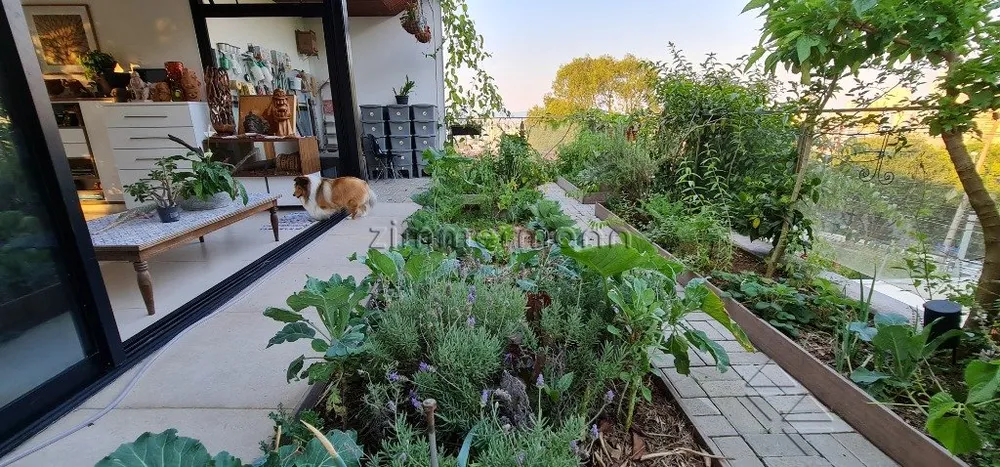 Casa, 4 quartos, 1044 m² - Foto 7