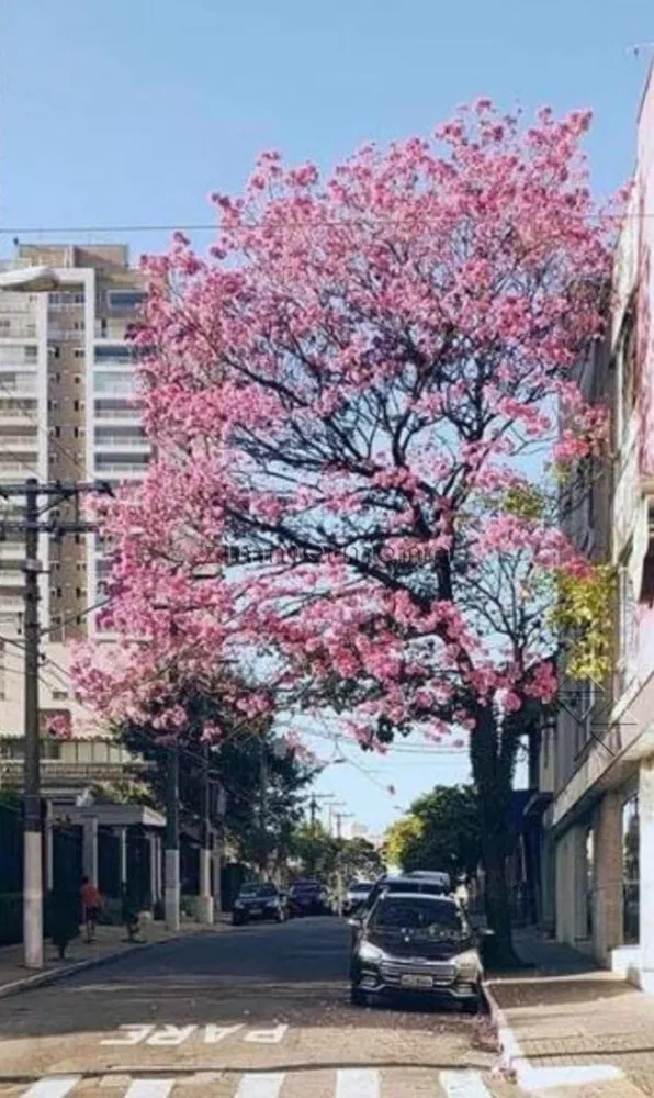 Apartamento, 3 quartos, 103 m² - Foto 5