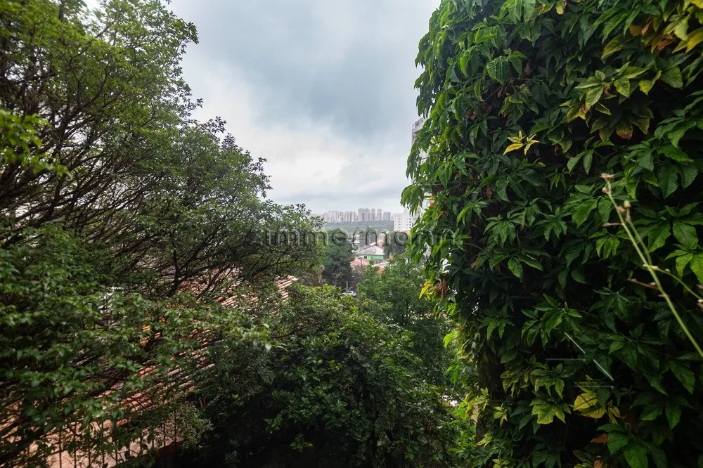Casa, 4 quartos, 275 m² - Foto 1