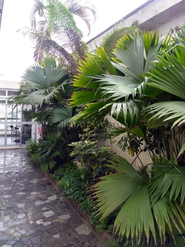 Casa, 5 quartos, 385 m² - Foto 1