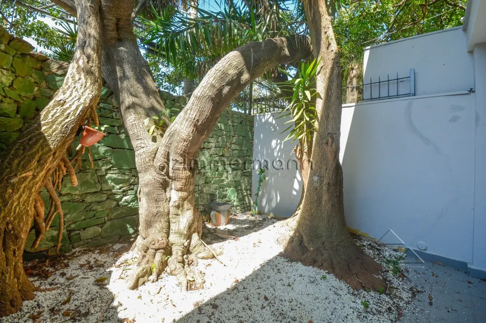 Casa, 4 quartos, 289 m² - Foto 3