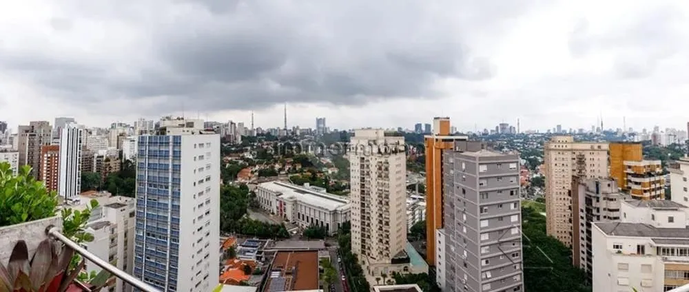 Apartamento, 3 quartos, 310 m² - Foto 4