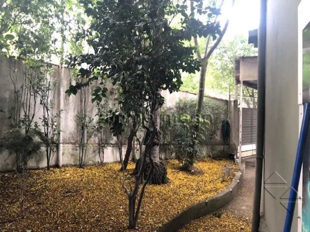 Casa, 3 quartos, 250 m² - Foto 1