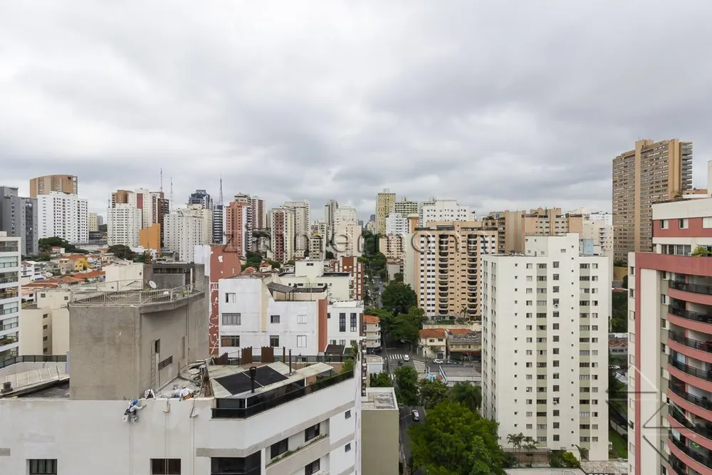 Cobertura, 4 quartos, 236 m² - Foto 3