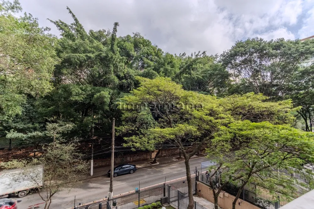 Apartamento, 3 quartos, 325 m² - Foto 4