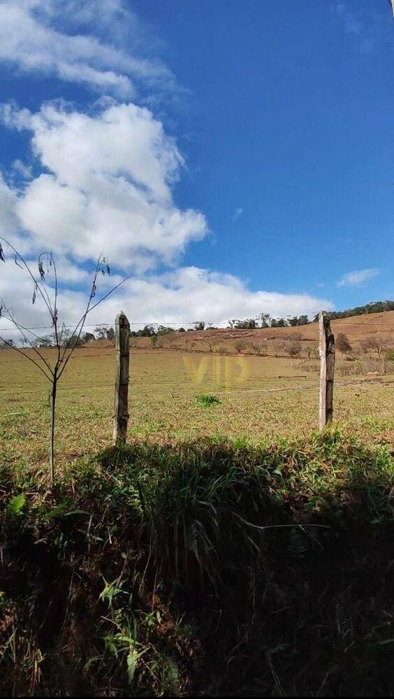 Terreno, 10 hectares - Foto 2