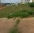 Terreno, 200 m² - Foto 2