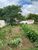 Casa, 2 quartos, 100 m² - Foto 3