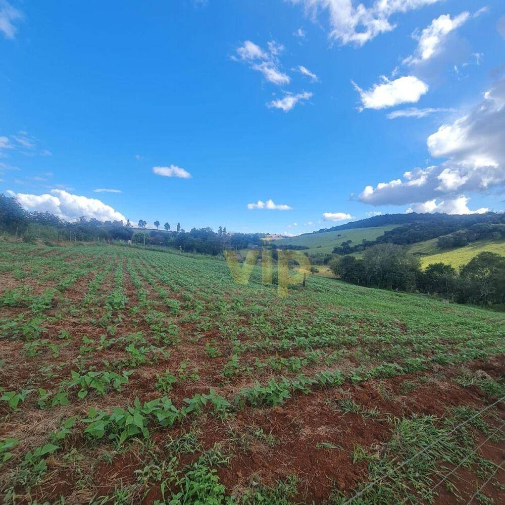 Terreno à venda, 20000M2 - Foto 1
