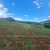 Terreno, 2 hectares - Foto 3